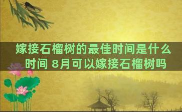 嫁接石榴树的最佳时间是什么时间 8月可以嫁接石榴树吗